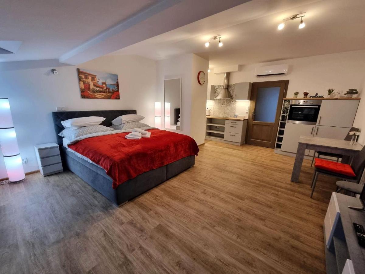 Podkrovni Studio Na Velkem Namesti S Wi-Fi Zdarma Hradec Králové Eksteriør billede