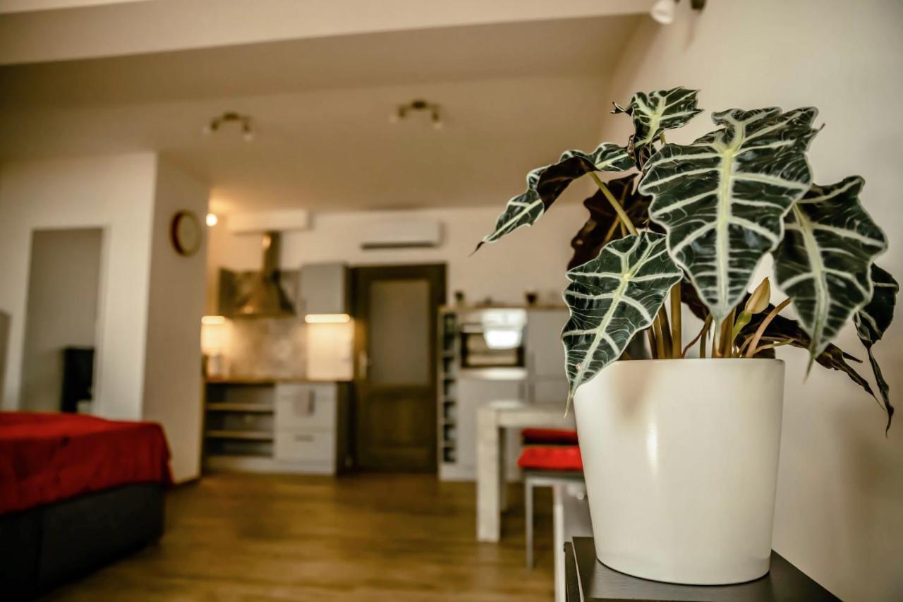 Podkrovni Studio Na Velkem Namesti S Wi-Fi Zdarma Hradec Králové Eksteriør billede